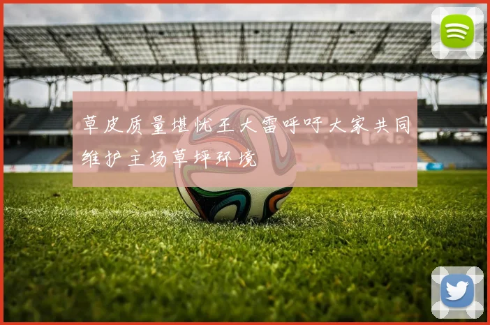 草皮质量堪忧王大雷呼吁大家共同维护主场草坪环境