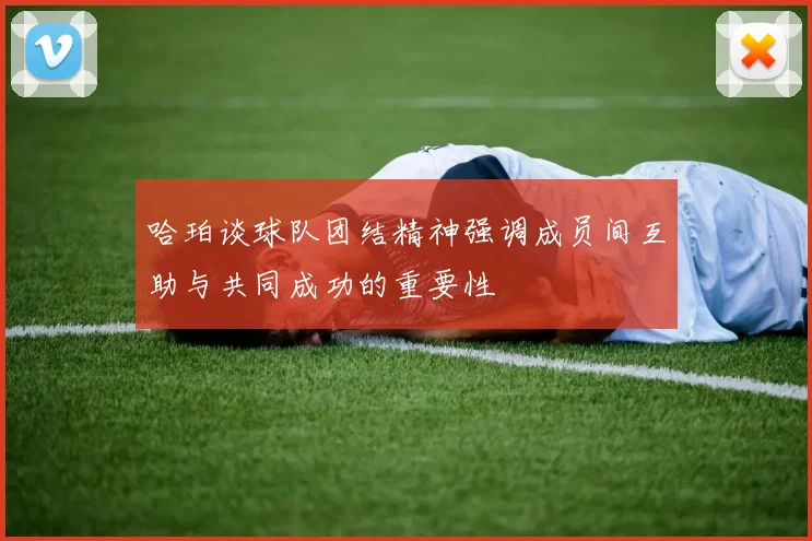 哈珀谈球队团结精神强调成员间互助与共同成功的重要性