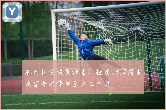 肌肉拉伤恢复指南：轻度1到2周重度需手术停训至少三个月