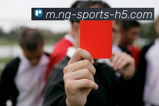 南宫体育全站App